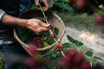 Espresso ¿Por qué es buena opción?